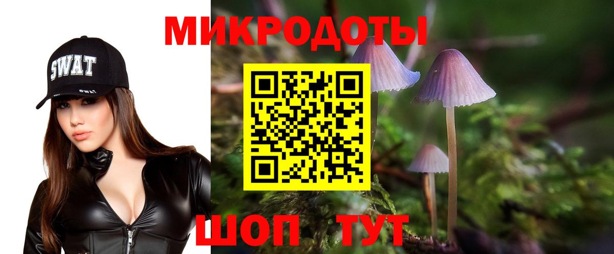 Котлас  Галлюциногенные грибы ЛСД  Вход с VPN 